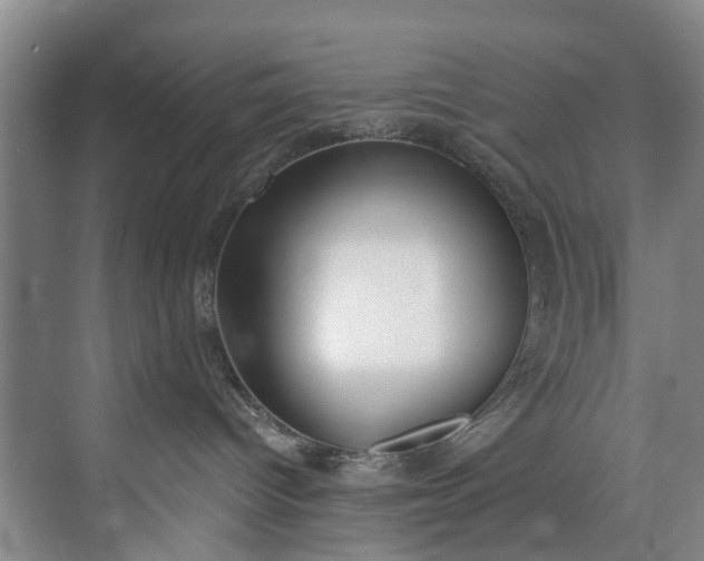 X0000072950096200608041319