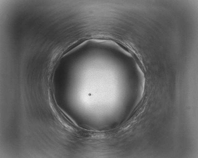 X0000072950097200608041318