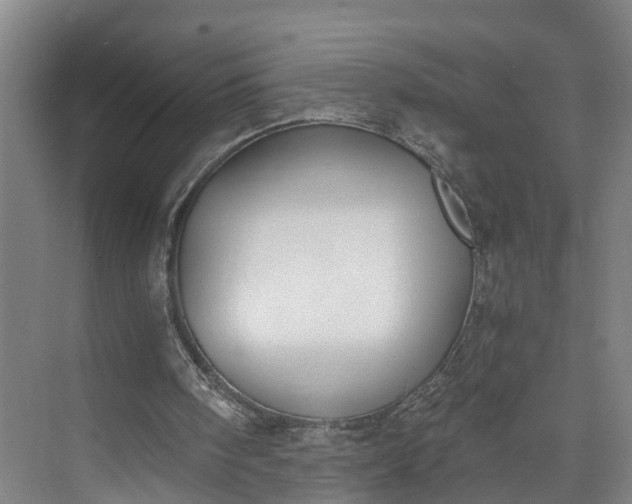 X0000072950098200608041318