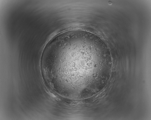 X0000072950099200608041318