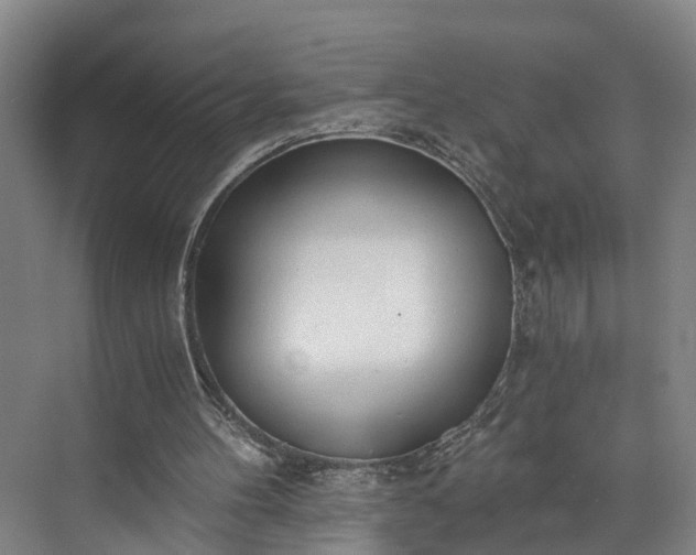 X0000072950100200608041318