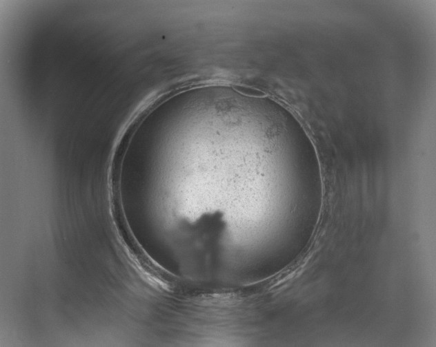 X0000072950102200608041318