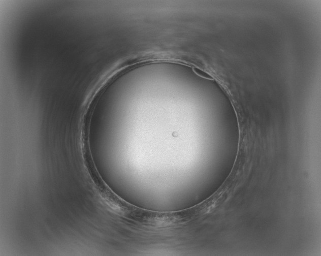 X0000072950103200608041318