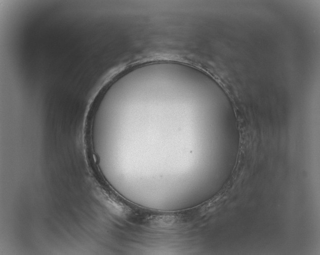 X0000072950104200608041318