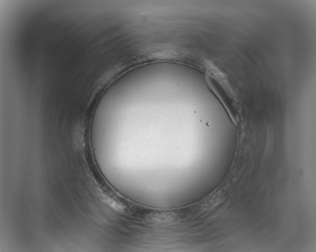 X0000072950106200608041318