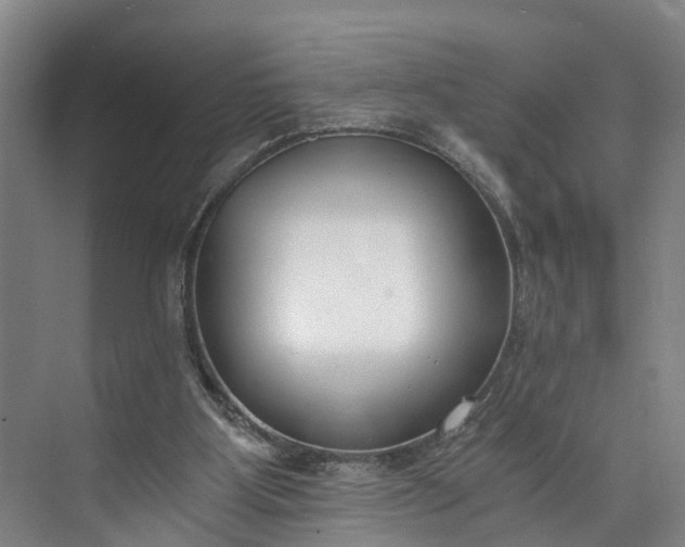 X0000072950107200608041318