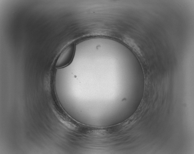 X0000072950108200608041318