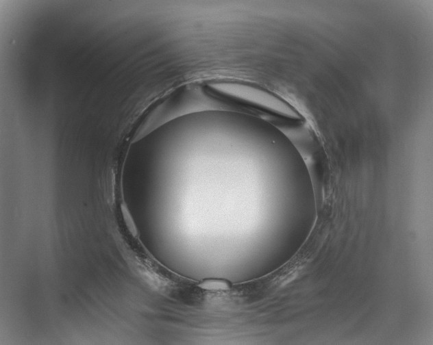 X0000072950109200608041318