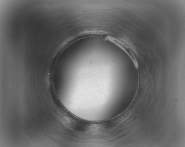 X0000072950111200608041318