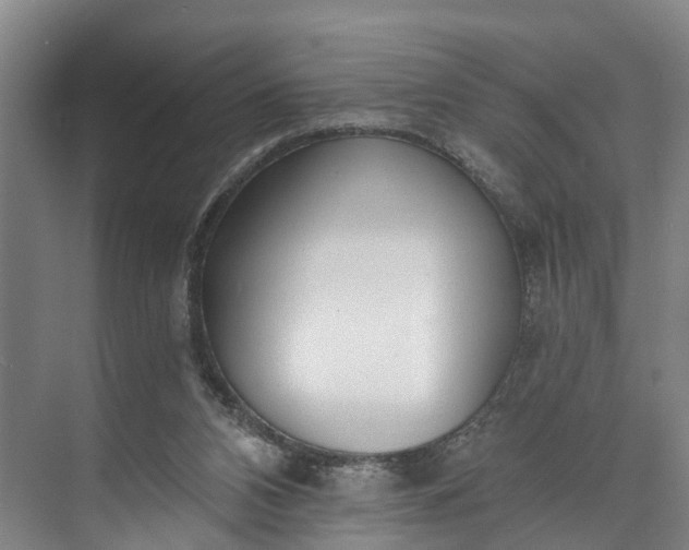 X0000072950112200608041318