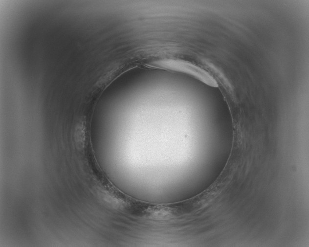 X0000072950113200608041318