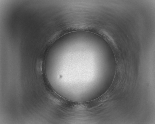 X0000072950115200608041318