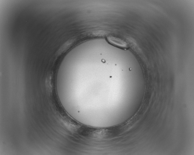 X0000072950116200608041318