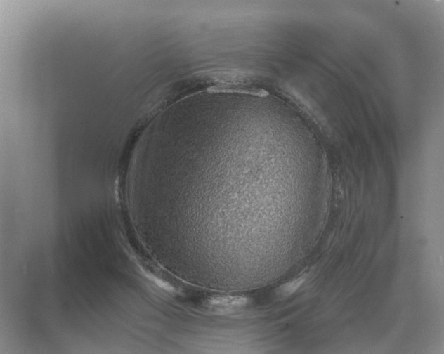 X0000072950117200608041318