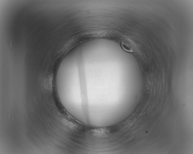 X0000072950118200608041318