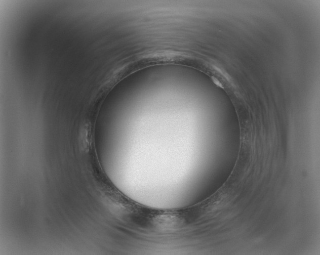 X0000072950119200608041318