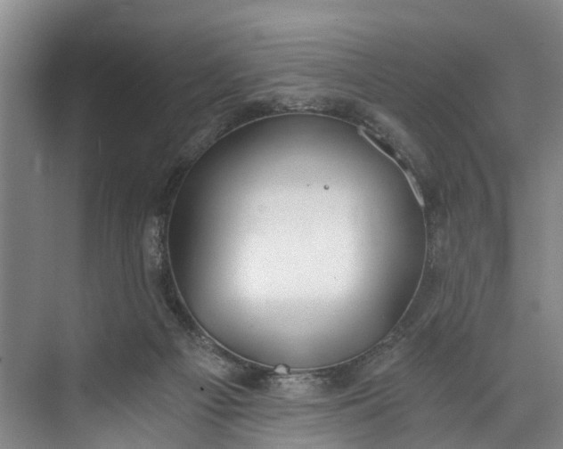 X0000072950121200608041318