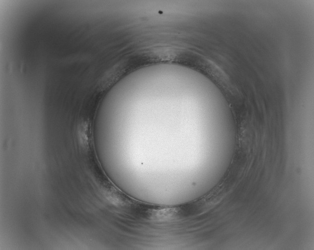 X0000072950122200608041318