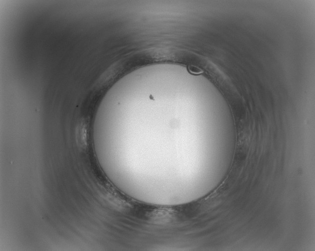 X0000072950124200608041318