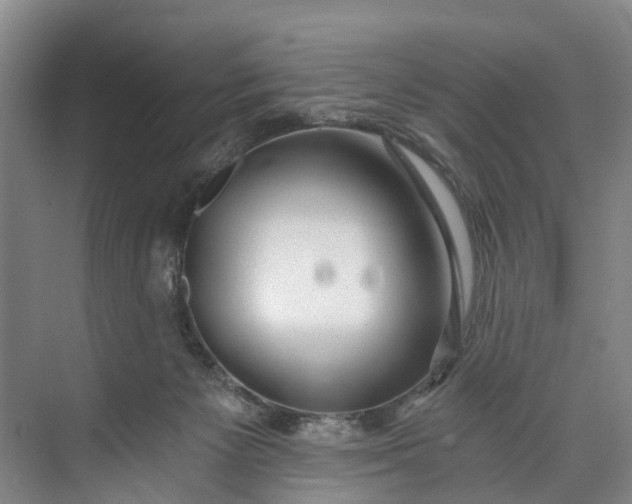 X0000072950125200608041318