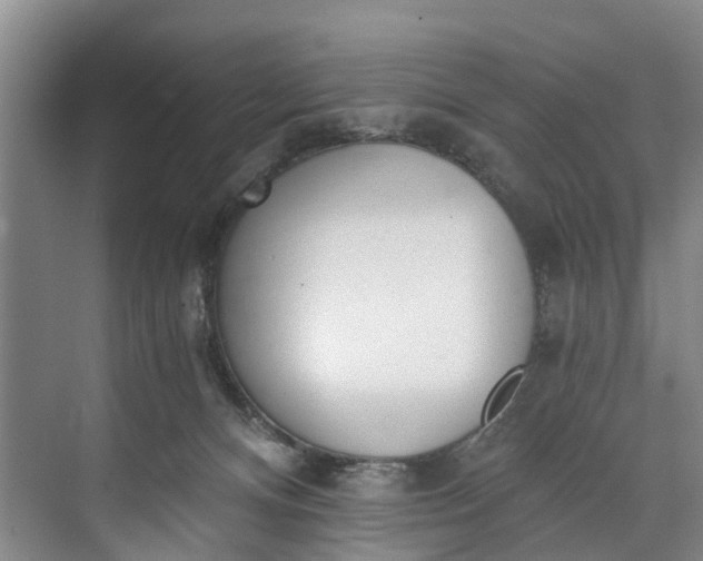 X0000072950128200608041317