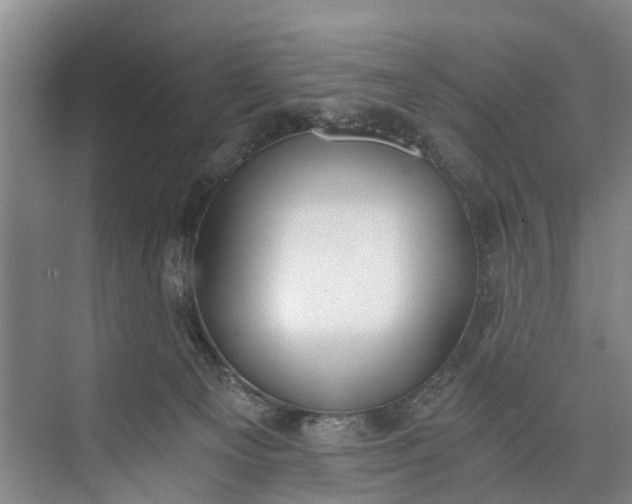 X0000072950129200608041317