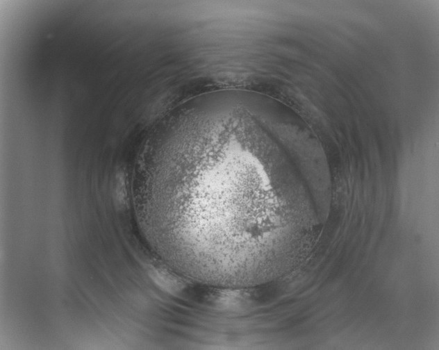 X0000072950130200608041317