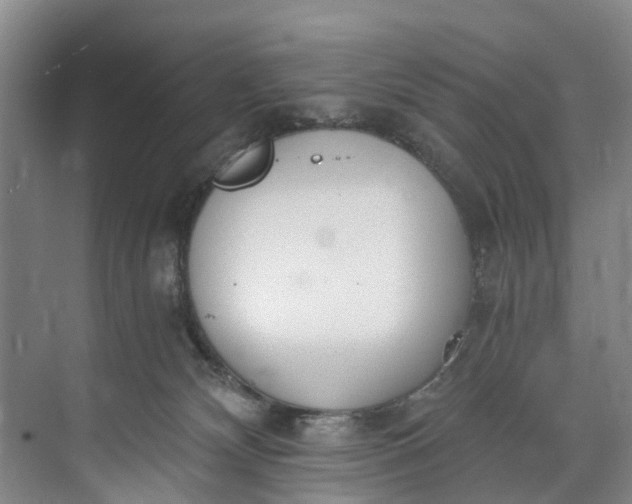 X0000072950132200608041317