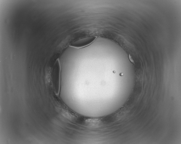 X0000072950133200608041317