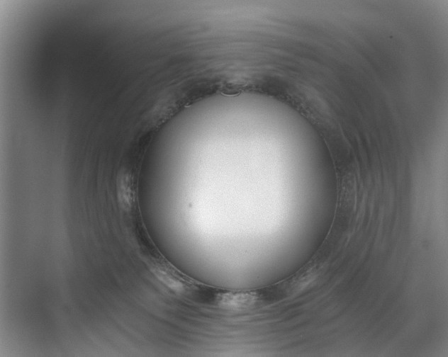 X0000072950135200608041317