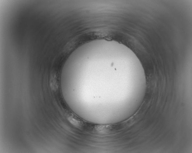 X0000072950136200608041317