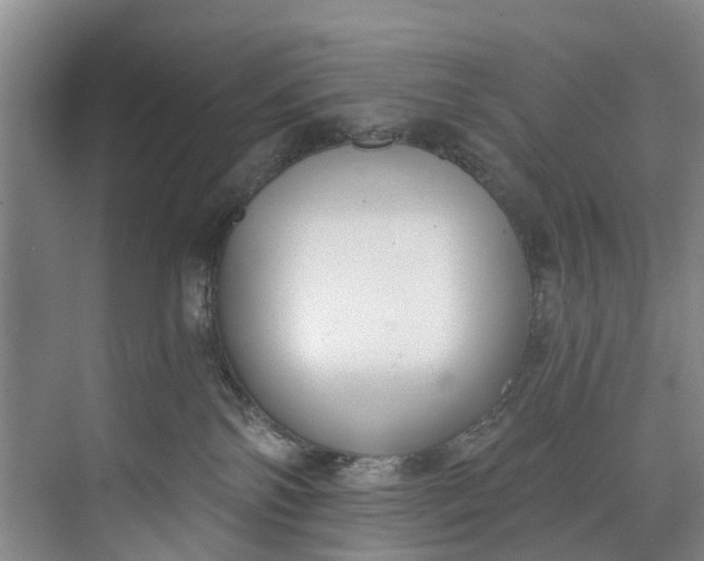 X0000072950138200608041317