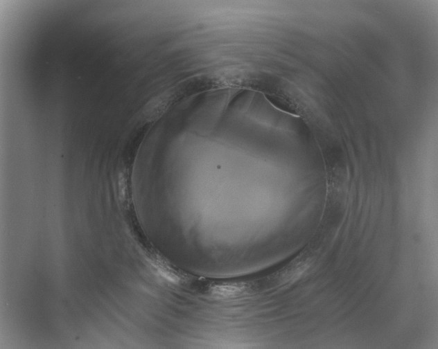 X0000072950139200608041317