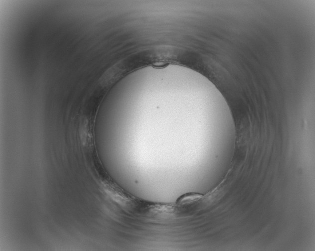 X0000072950140200608041317