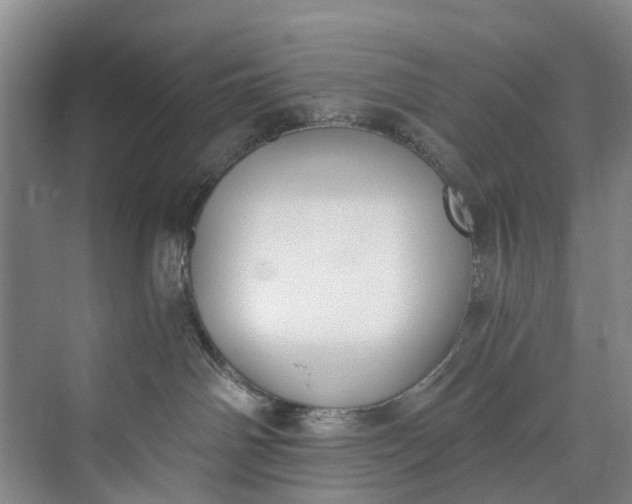 X0000072950142200608041317