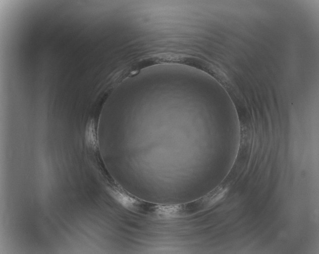 X0000072950143200608041317