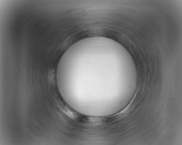 X0000072950144200608041317