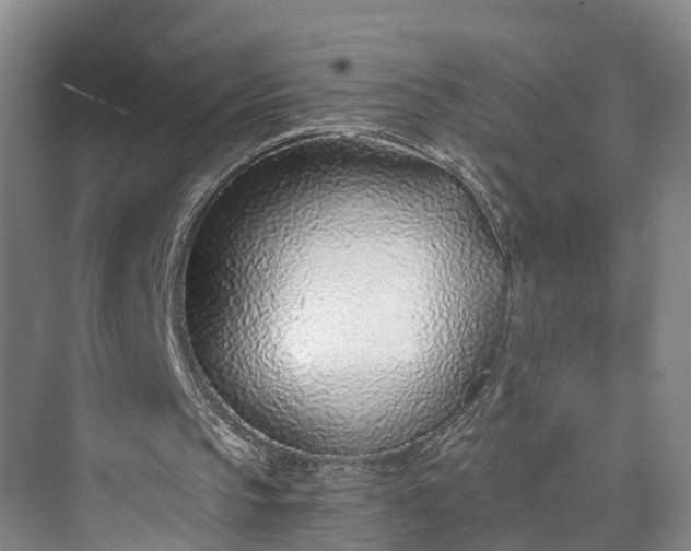 X0000072950145200608041316