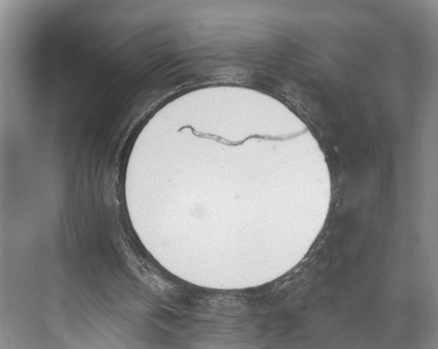 X0000072950146200608041316