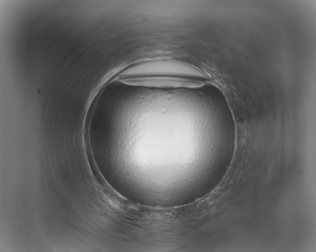 X0000072950147200608041316