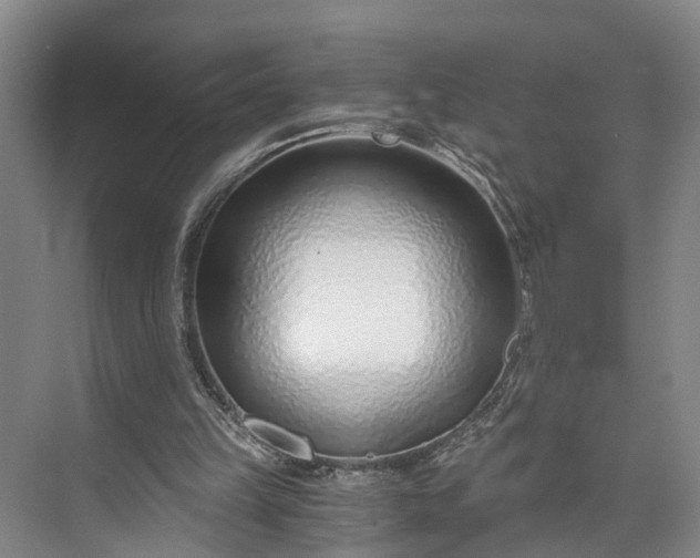 X0000072950149200608041316