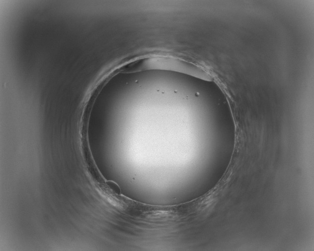 X0000072950151200608041316