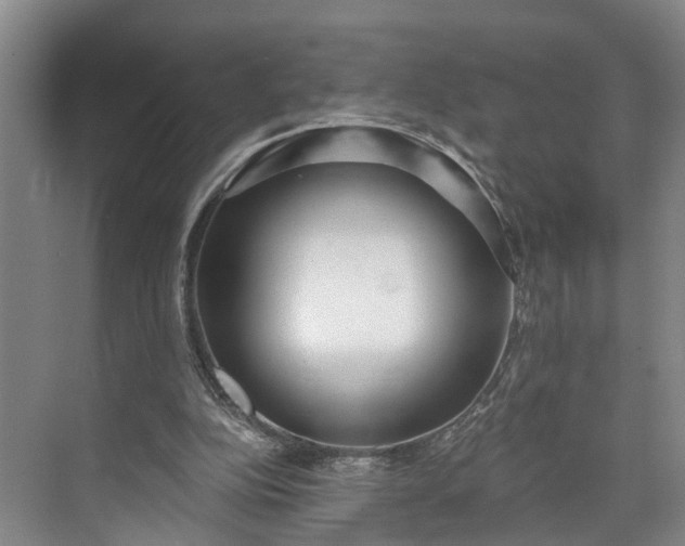 X0000072950152200608041317