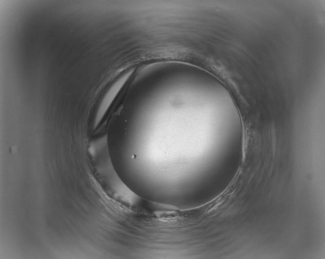 X0000072950154200608041317