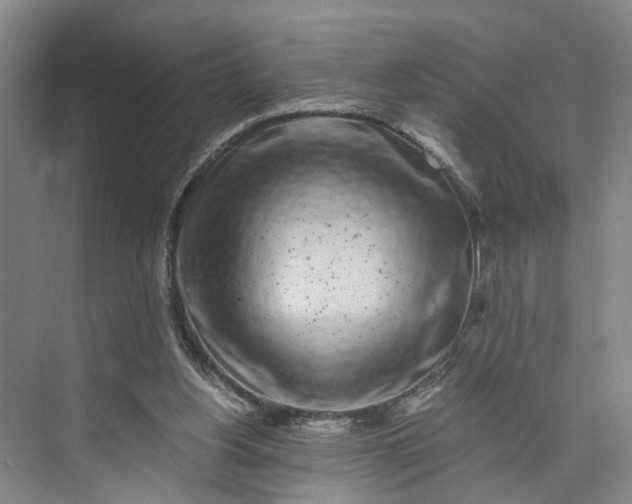 X0000072950156200608041317