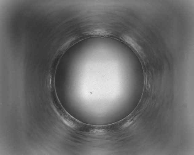 X0000072950157200608041317