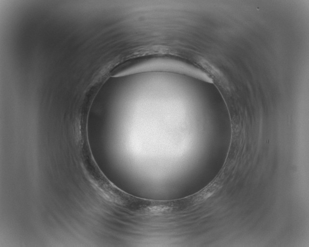 X0000072950158200608041317