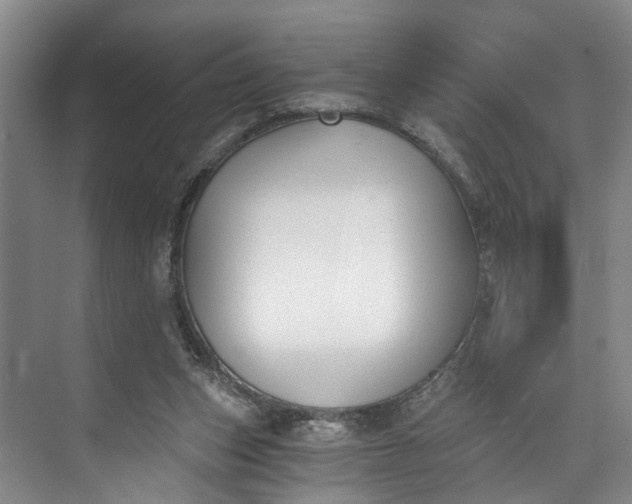 X0000072950159200608041317