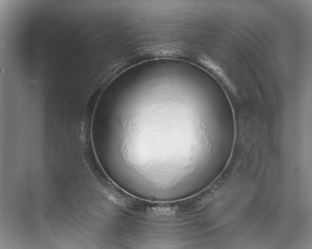 X0000072950161200608041317