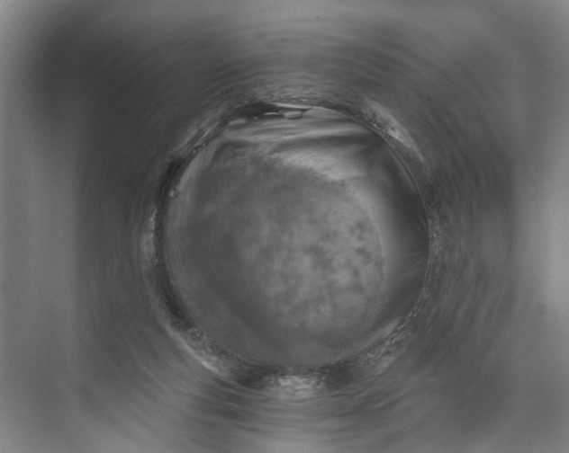 X0000072950163200608041317